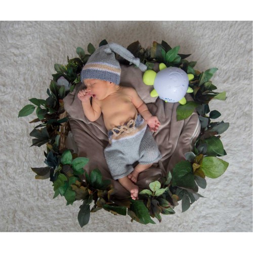 Babycim Uyku Zamanı Kaplumbağa