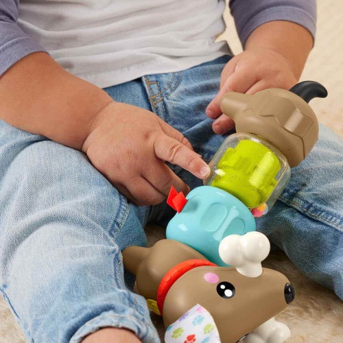 Fisher Price Köpekçikle Eğlenceli Aktiviteler HTW91 Fisher Price Köpekçikle Eğlenceli Aktiviteler HTW91