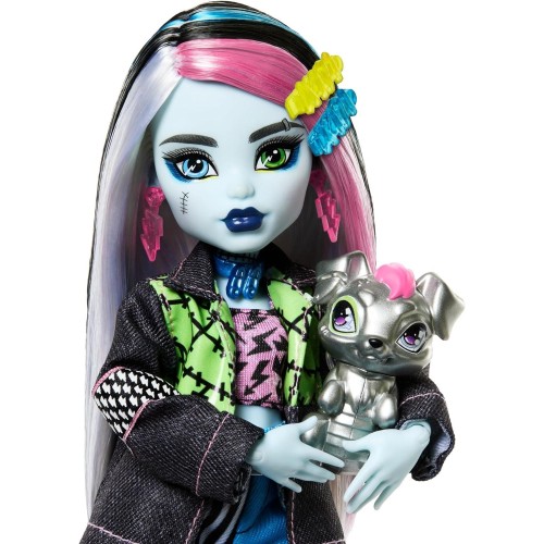 Monster High Acayip Havalı Arkadaşlar Frankie Stein HXH73
