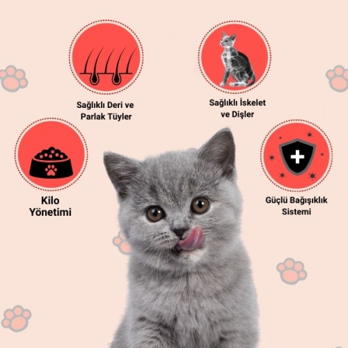 Happy Kısırlaştırılmış Sığır Etli Kuru Kedi Maması 1,5 Kg Happy Kısırlaştırılmış Sığır Etli Kuru Kedi Maması 1,5 Kg