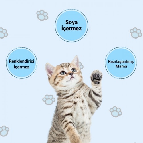 Happy Kısırlaştırılmış Somonlu Kuru Kedi Maması 12 Kg