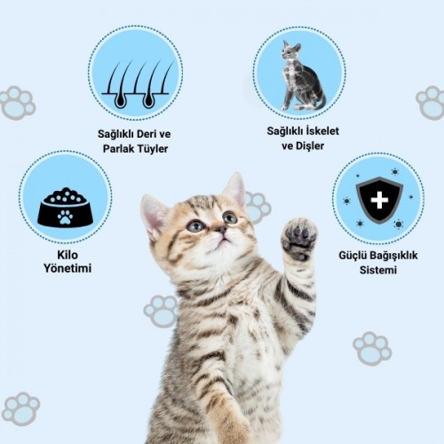 Happy Somonlu Kuru Kedi Maması 3 Kg