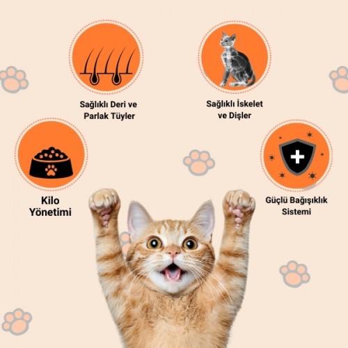 Happy Tavuklu Kuru Kedi Maması 1,5 Kg Happy Tavuklu Kuru Kedi Maması 1,5 Kg