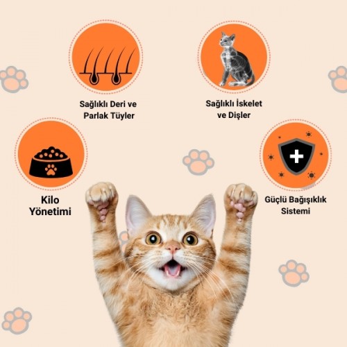 Happy Tavuklu Kuru Kedi Maması 2 Kg Happy Tavuklu Kuru Kedi Maması 2 Kg