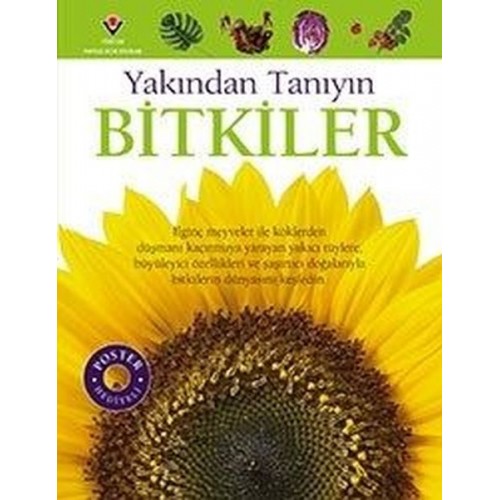 Yakından Tanıyın - Bitkiler - David Burnie