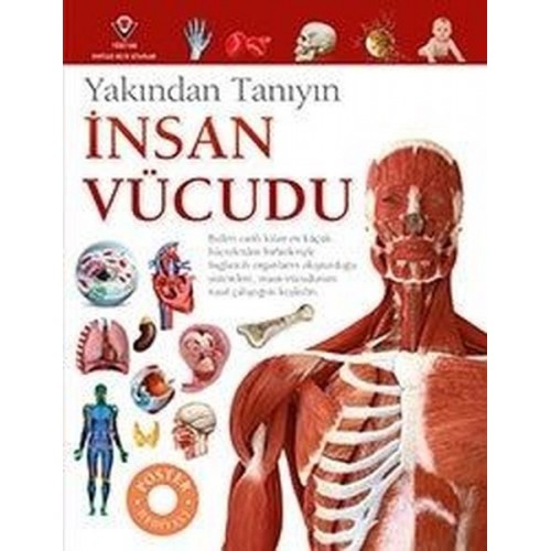İnsan Vücudu - Yakından Tanıyın - Richard Walker