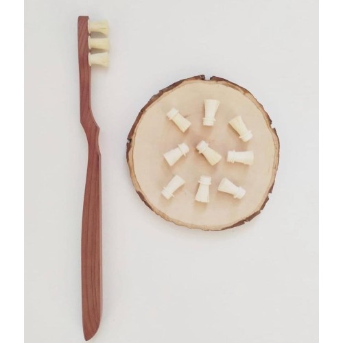 Happy Teeth Misvak Diş Fırçası Yedek Başlığı 6 lı