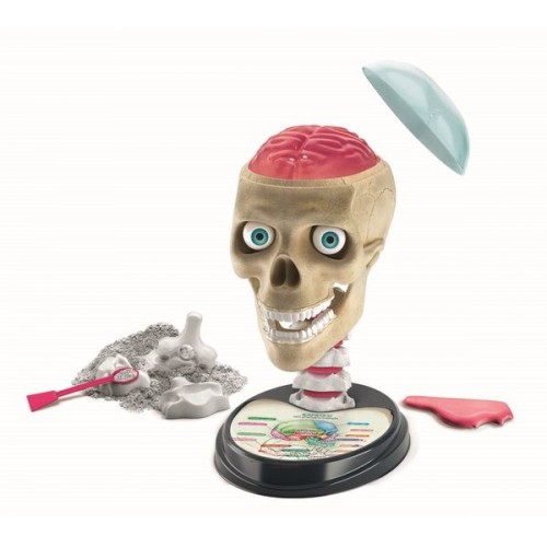 Clementoni 64322 Bilim ve Oyun Çılgın Anatomi