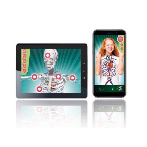 Clementoni Bilim ve Oyun Süper Anatomi 64474