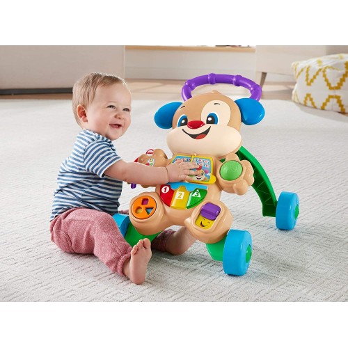 Fisher Price Eğitici Köpekçik Yürüteç FTG10