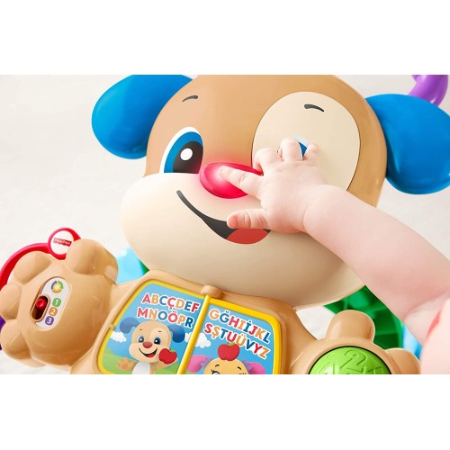 Fisher Price Eğitici Köpekçik Yürüteç FTG10