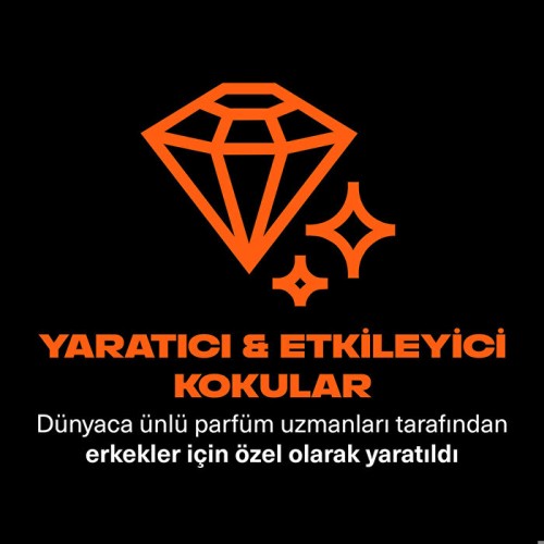 Axe Premium Collection Duş Jeli Copper 3 In 1 Vücut Saç Yüz 300 ml Axe Premium Collection Duş Jeli Copper 3 In 1 Vücut Saç Yüz 300 ml