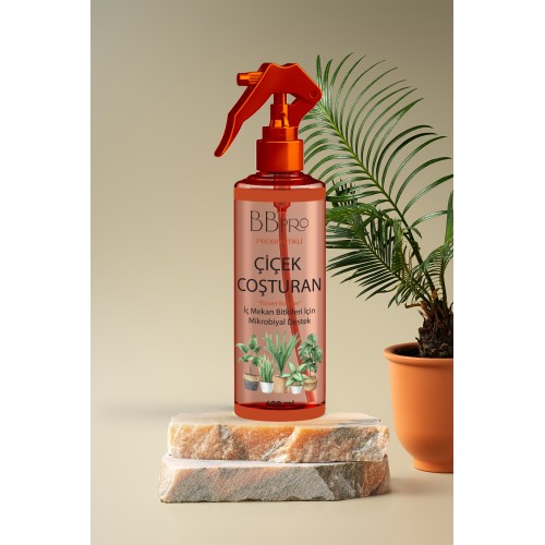 BB Pro Probiyotikli Çicek Çoşturan İç Mekan 400 ml