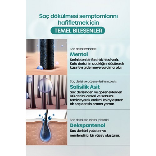 Dr. Banggiwon Cool Dökülme Karşıtı ve Yatıştırıcı Şampuan 1000 ml Dr. Banggiwon Cool Dökülme Karşıtı ve Yatıştırıcı Şampuan 1000 ml