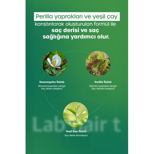 Dr. Banggiwon Lab Saç Dökülme Karşıtı Yoğun Bakım Tonik 150 ml Dr. Banggiwon Lab Saç Dökülme Karşıtı Yoğun Bakım Tonik 150 ml