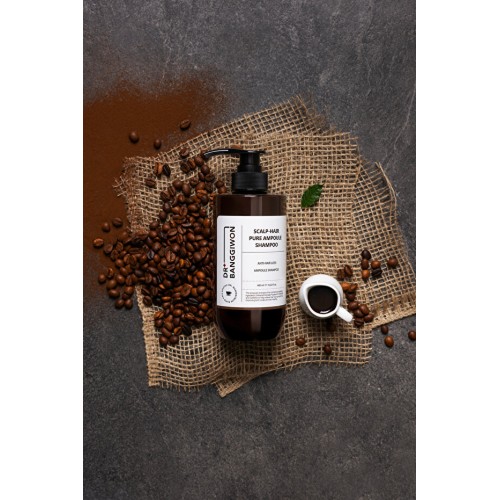 Dr. Banggiwon Yoğun Hasar Görmüş Dökülme Karşıtı Şampuanı 480 ml