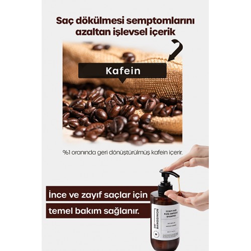 Dr. Banggiwon Yoğun Hasar Görmüş Dökülme Karşıtı Şampuanı 480 ml