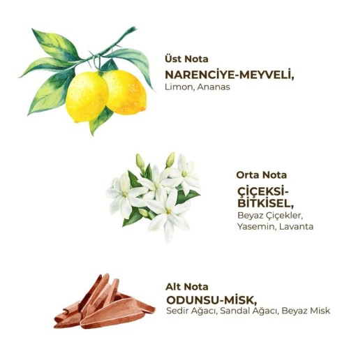 Eyüp Sabri Tuncer Fresh Kadın Roll On 75 ml