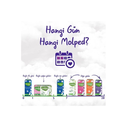 Molped Günlük Ped Süper Ekonomik Yoğun Koruma 60 lı x 4 Adet Molped Günlük Ped Süper Ekonomik Yoğun Koruma 60 lı x 4 Adet