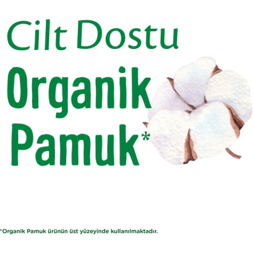 Molped Pure Soft Normal 46 lı Supernıght 22 li Gece&Gündüz Paketi 