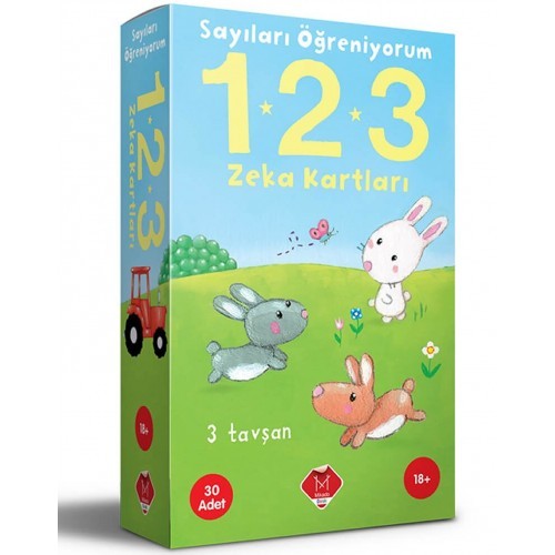 Sayıları Öğreniyorum 1 - 2 - 3 Zeka Kartları